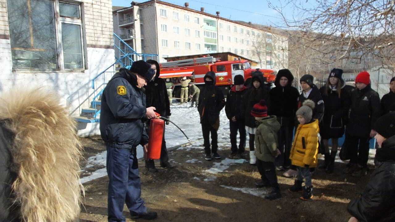 21 марта - Международный День леса.