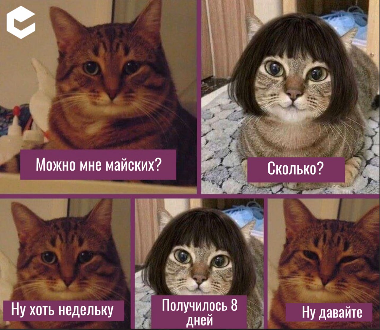 Как отдыхаем на майские праздники.